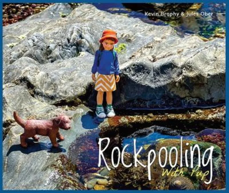 - Foldable and portable cat bagRockpooling With Pup
