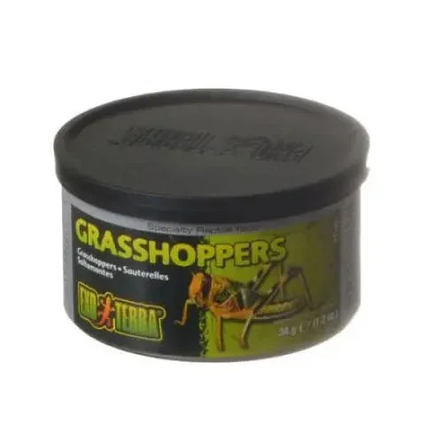 - Foldable and portable cat bagExo-Terra Grasshoppers Reptile Food