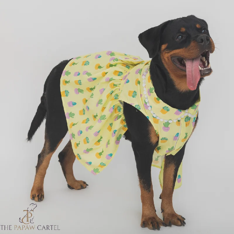 - Hamster silent running wheel to prevent chewingThe Papaw Cartel Happy Cactus Dress for Dogs (Lime Yellow)