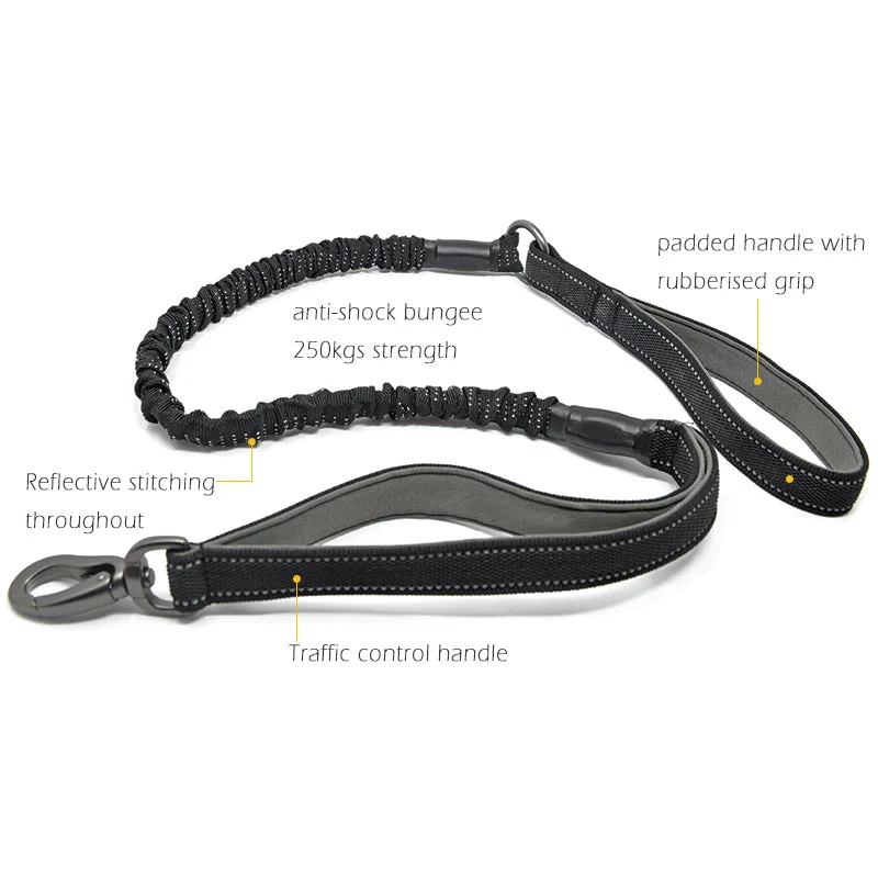 - Parrot climbing and standing wooden frameBungee Dog Lead with Traffic Grip - Miro & Makauri Anti Shock 115cm - Parrot climbing and standing wooden frameBungee Dog Lead with Traffic Grip - Miro & Makauri Anti Shock 115cm