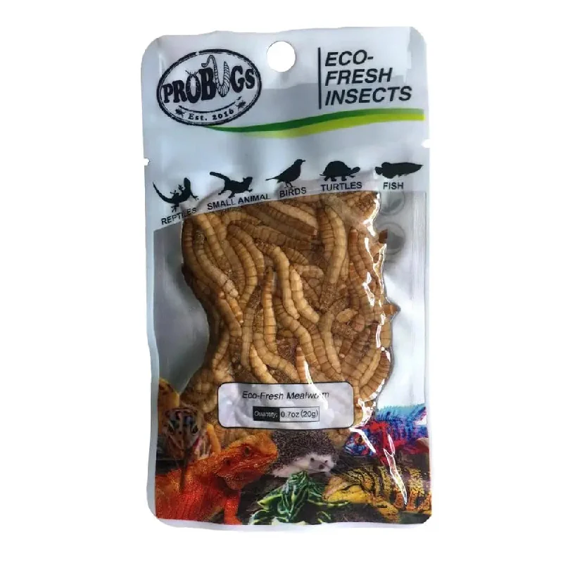 ---Pro Bugs Eco-Fresh Mealworm for Parrots, Cichlids, Frogs, Hedgehogs, Sugar Gliders Food ---Pro Bugs Eco-Fresh Mealworm for Parrots, Cichlids, Frogs, Hedgehogs, Sugar Gliders Food