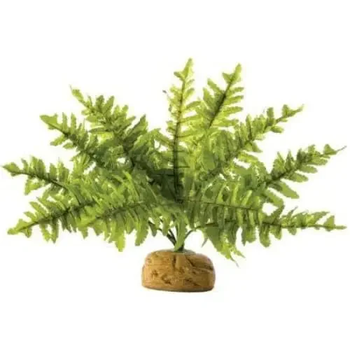 ---Exo Terra Boston Fern Terrarium Plant