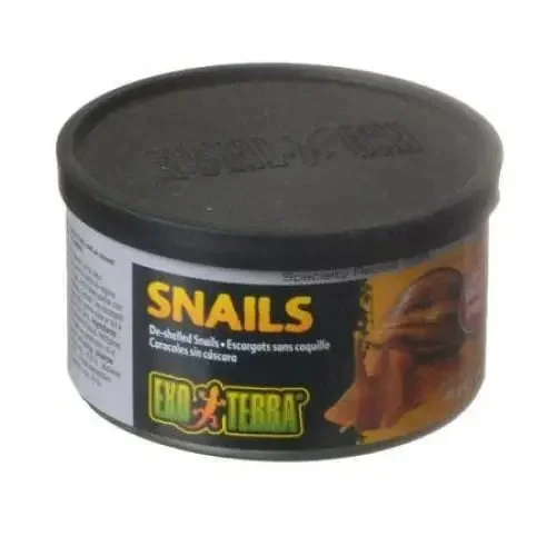 - Chinchilla cooling ice nest ceramic plateExo-Terra Snails Reptile Food