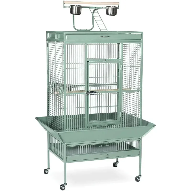 Sage Green