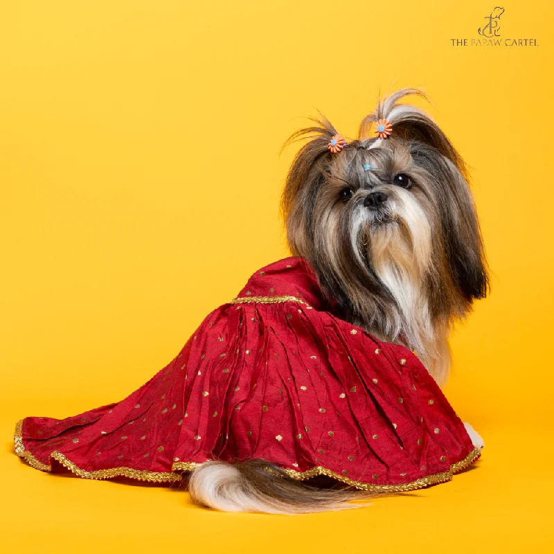 - Hamster silent running wheel to prevent chewingThe Papaw Cartel Desi Girl in Banarasi Polka Dot Gown for Dogs (Red) - Hamster silent running wheel to prevent chewingThe Papaw Cartel Desi Girl in Banarasi Polka Dot Gown for Dogs (Red)