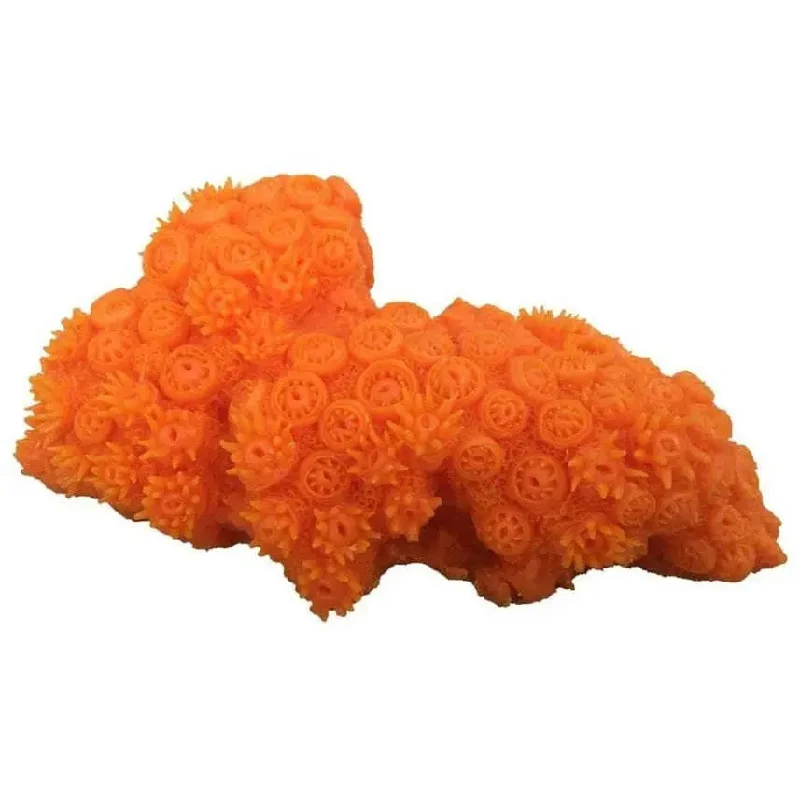 - Rabbit grass rack to prevent waste food boxWeco Products South Pacific Coral Tubastrea Ornament Orange