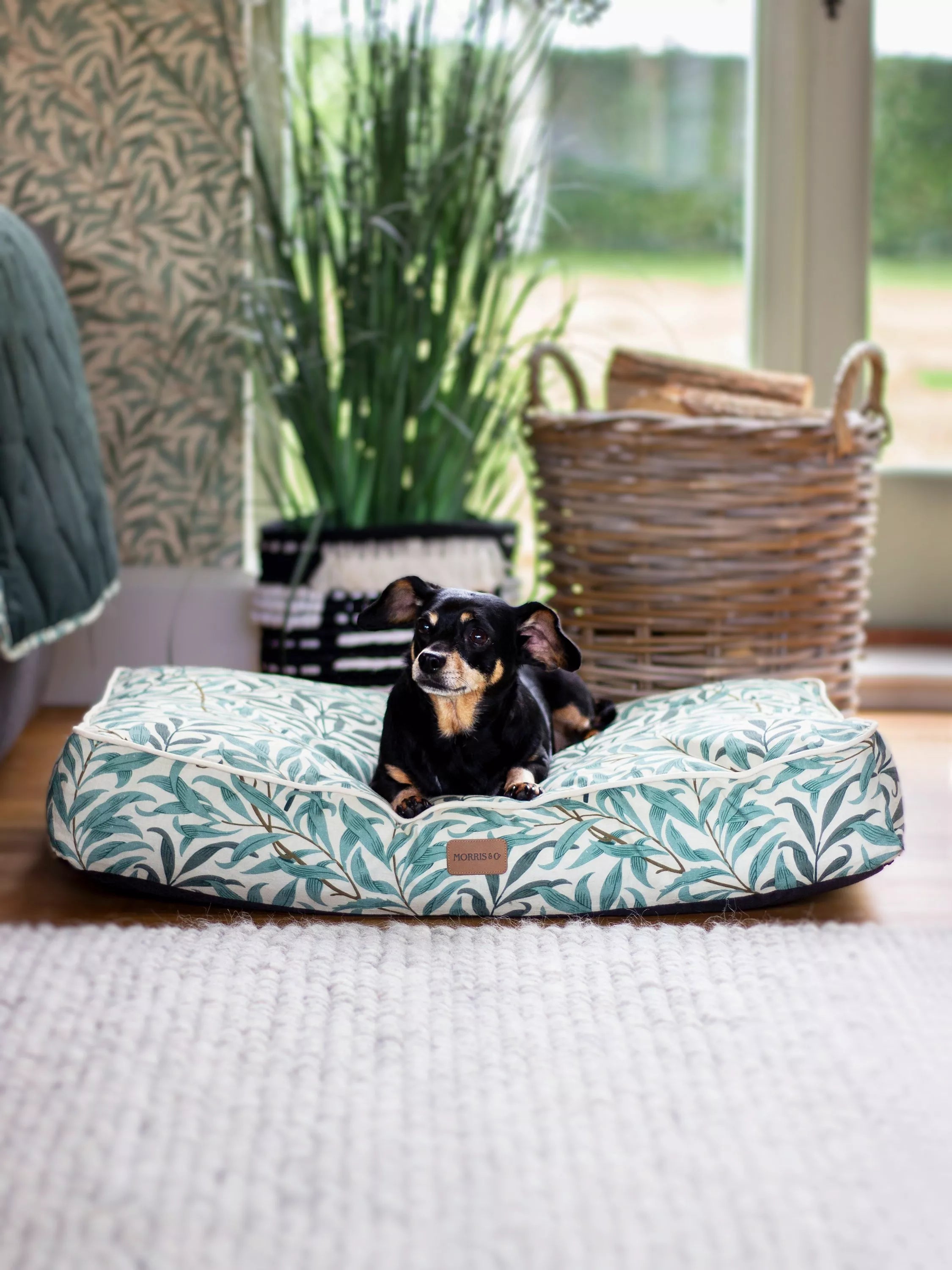 -Anti-scratch scratching board AND cat bed in oneMorris & Co. Willow Bough Dog Mattress, Green -Anti-scratch scratching board AND cat bed in oneMorris & Co. Willow Bough Dog Mattress, Green
