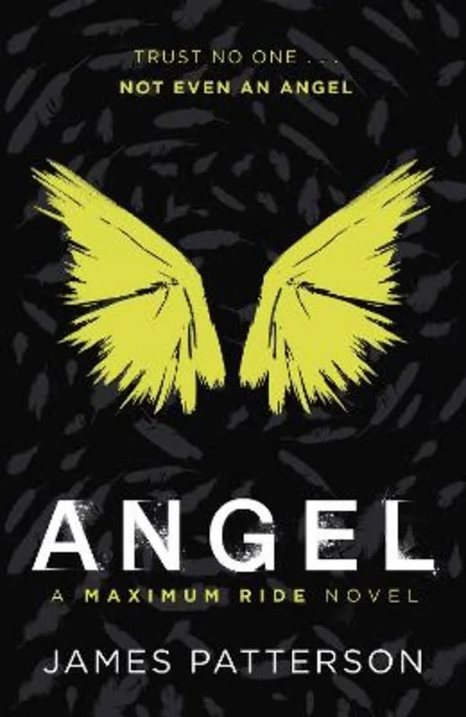 - Pet fence foldable indoorAngel: A Maximum Ride Novel