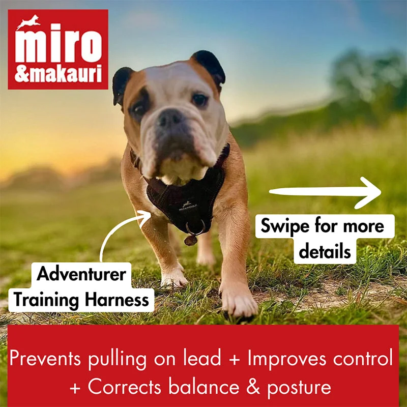 -Anti-slip claw protection raincoat FOR dogsDog Training Harness - the Miro & Makauri 'Adventurer' Harness -Anti-slip claw protection raincoat FOR dogsDog Training Harness - the Miro & Makauri 'Adventurer' Harness