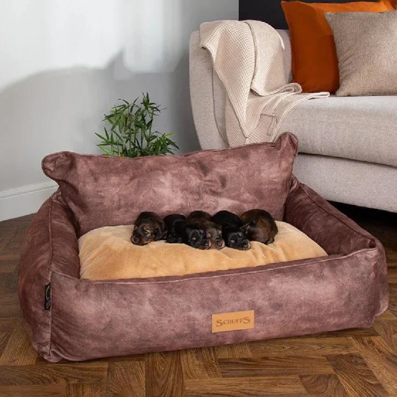 -Splash-proof food bowl AND Anti-choking slow food bowlKensington Box Dog Bed - Chocolate -Splash-proof food bowl AND Anti-choking slow food bowlKensington Box Dog Bed - Chocolate