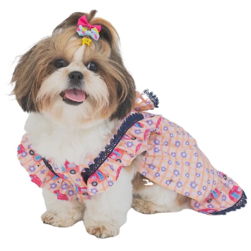 - Pet stroller can be taken on the planeThe Papaw Cartel Caravan Plaid Frilled Dress With A Bow for Dogs (Light Pink/Orange)