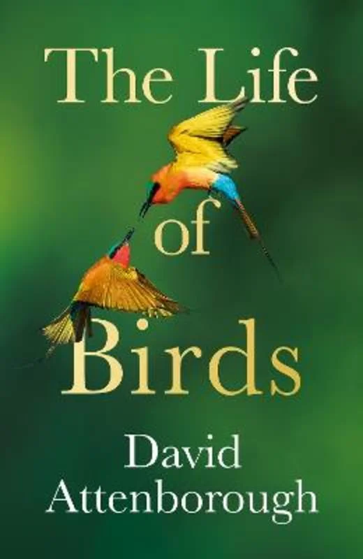 - Postoperative pet anti-licking Elizabethan collarThe Life of Birds