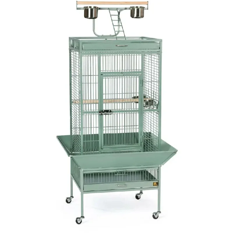 Sage Green