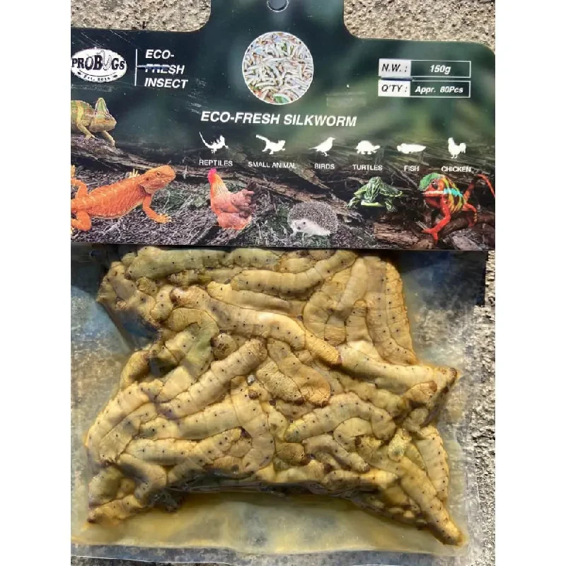 - ​​Pet toys under    yuanSilkworm Larvae Bulk Bag (150 gram) (80 piece average)
