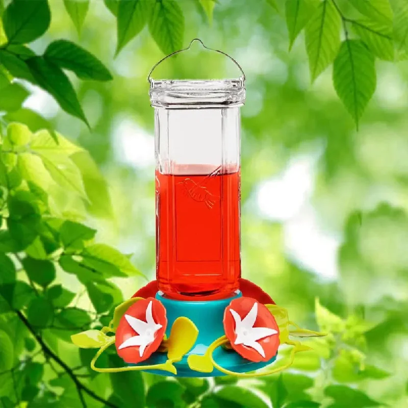 - Custom pet birthday cakeVintage Vine Glass 20 oz. Hummingbird Feeder