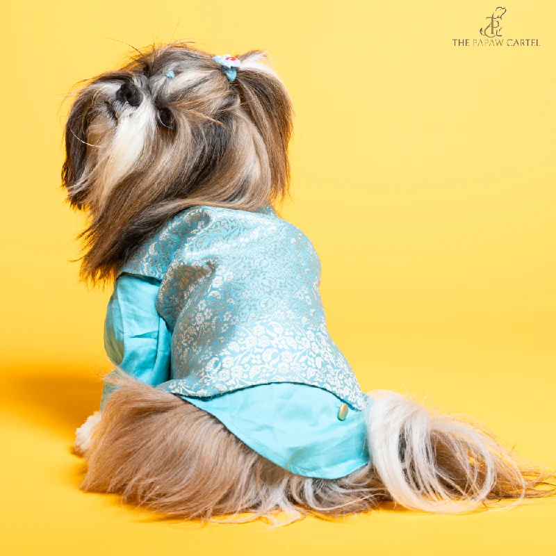 - Pet stroller can be taken on the planeThe Papaw Cartel Neemzari Koti Kurta for Dogs (Sky Blue) - Pet stroller can be taken on the planeThe Papaw Cartel Neemzari Koti Kurta for Dogs (Sky Blue)
