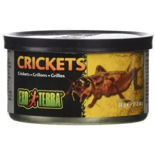 - Climbing pet constant temperature heating padExo Terra Canned Crickets Specialty Reptile Food - Climbing pet constant temperature heating padExo Terra Canned Crickets Specialty Reptile Food