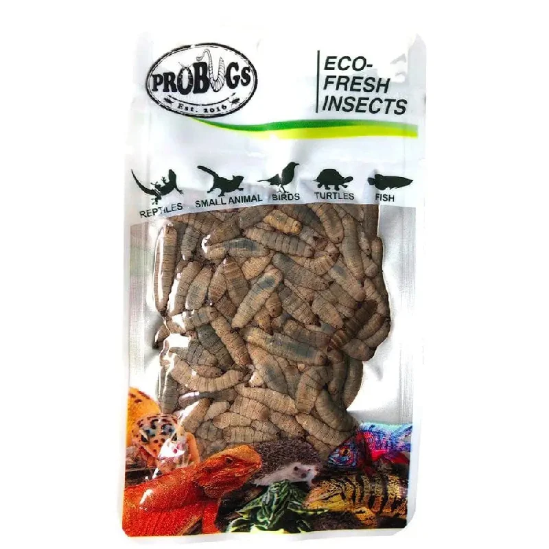 - Automatic induction pet water dispenserPro Bugs Eco-Fresh Black Soldier Fly Larvae for Fish, Lizards, Turtles, Wild Birds Food - Automatic induction pet water dispenserPro Bugs Eco-Fresh Black Soldier Fly Larvae for Fish, Lizards, Turtles, Wild Birds Food