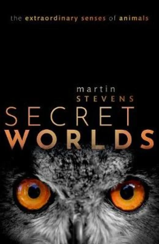 - Deodorizing cat litter tofu litterSecret Worlds