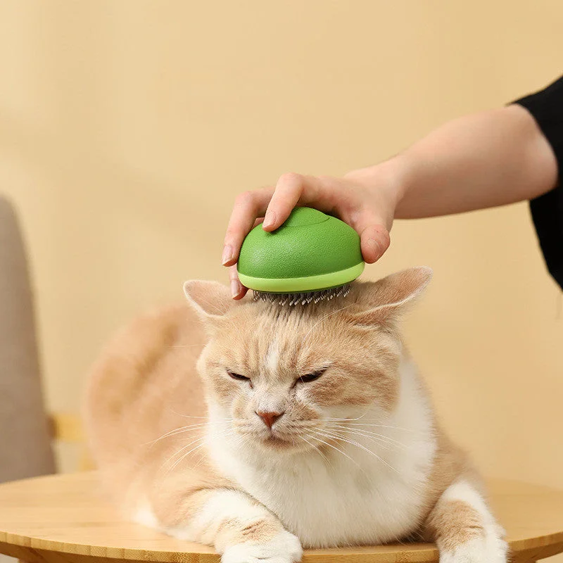 Pet ProductsPet Cat Float Hair Cleaning Needle Comb