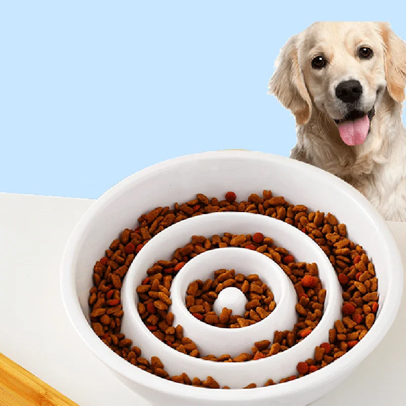 - Elderly dog ​​joint care mattressSlow Food Bowl Ceramic Medium And Large Dog Supplies