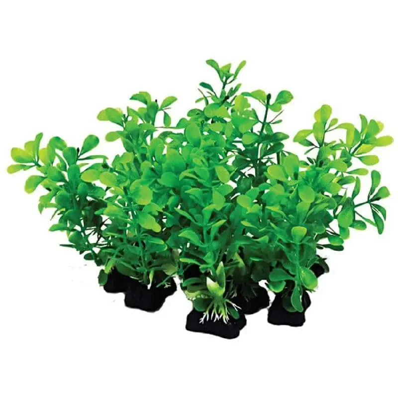 - Natural latex pet mattressAquatop Aquarium Plants Mix Assorted 12 pk