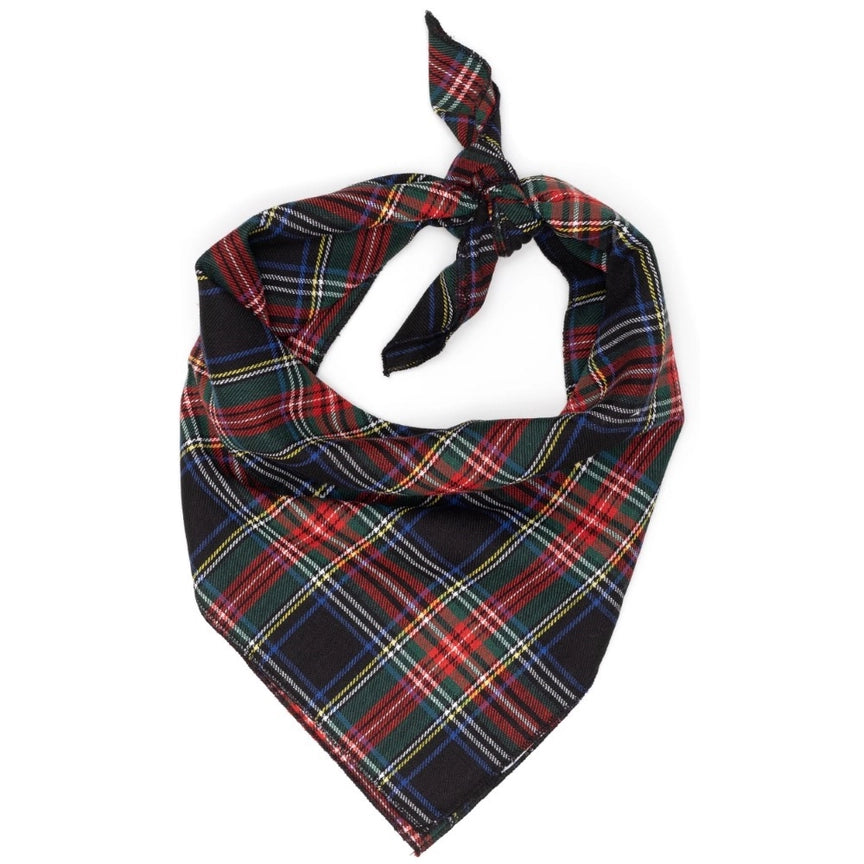- Foldable and portable cat bagWorthy Dog Black Stewart Bandana
