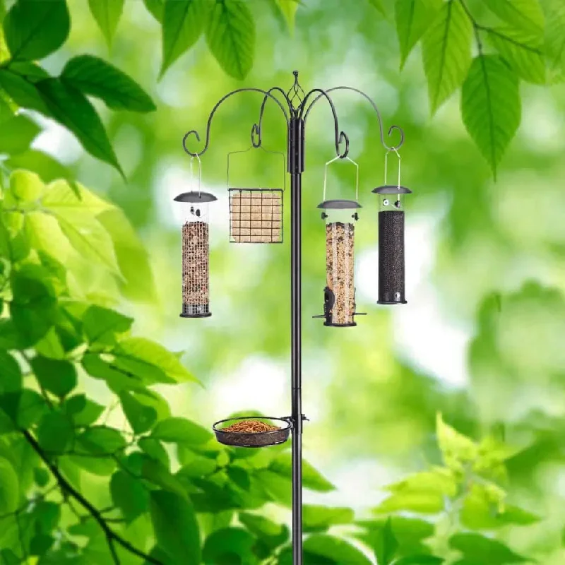  -Non-contact cat thermometerUltimate Birdfeeding Station