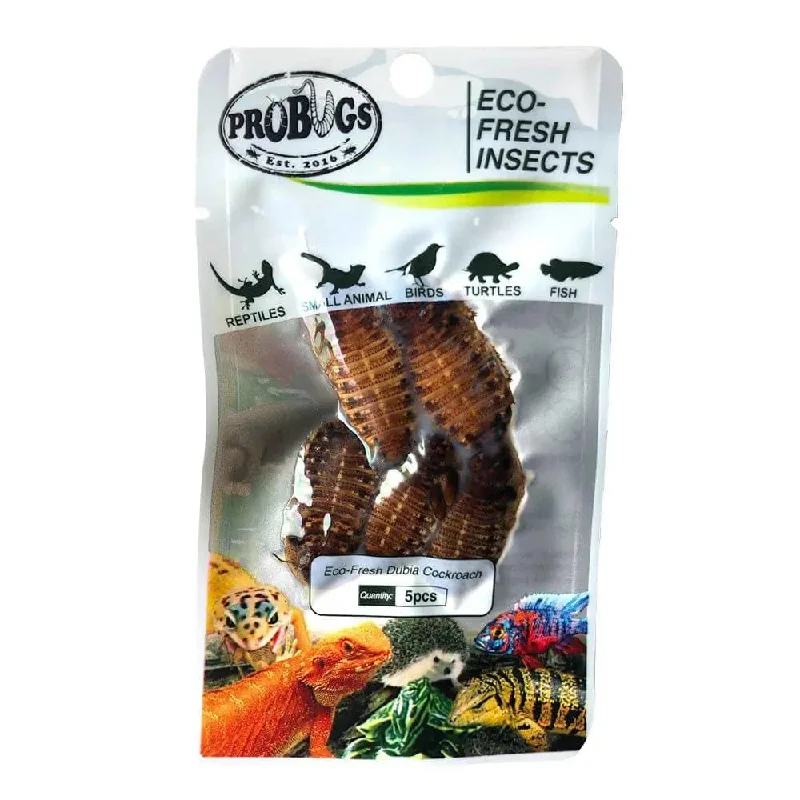 - Pet electric nail grinder silent modelPro Bugs Eco-Fresh Dubia Roaches for Arowana Fish, Bearded dragons, Small Animals Food - Pet electric nail grinder silent modelPro Bugs Eco-Fresh Dubia Roaches for Arowana Fish, Bearded dragons, Small Animals Food
