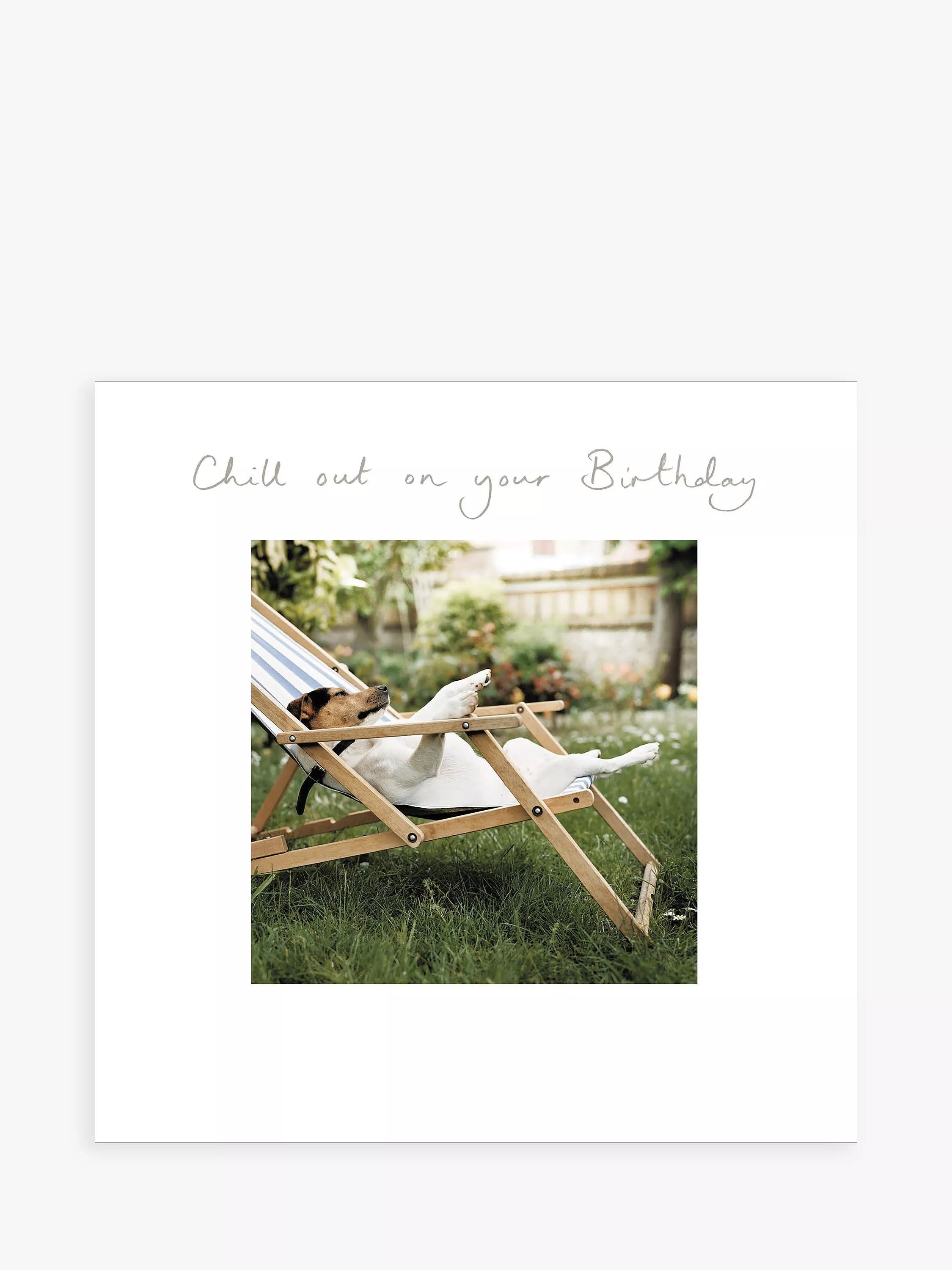 - ​​Pet toys under    yuanWoodmansterne Dog Chill Out Birthday Card