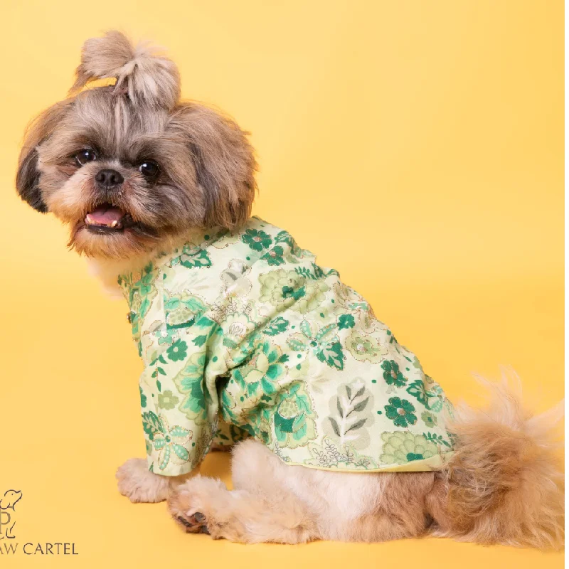 - Pet stroller can be taken on the planeThe Papaw Cartel Floral with Zari Sherwani for Dogs (Green)