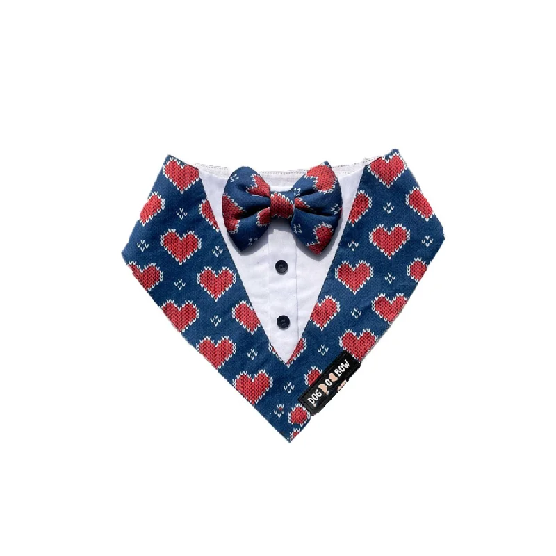 - Pet monitor with cameraDogobow Hearty Print Tuxedo Bandana for Dogs (Blue/Red)