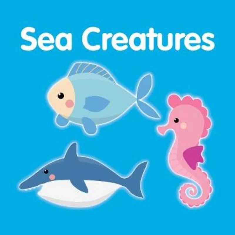  -Splash-proof food bowl AND Anti-choking slow food bowlSea Creatures