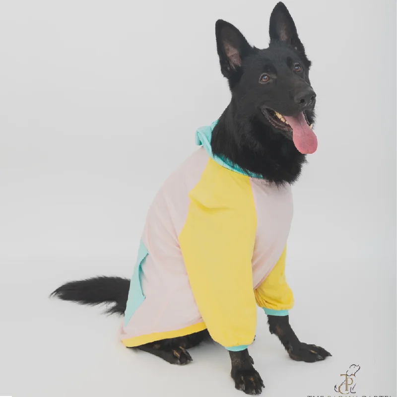- Foldable and portable cat bagThe Papaw Cartel Candy Floss Color Blocking Hoodie Tshirt for Dogs (Pink/Blue/Yellow)