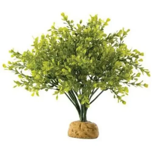 - ​​Pet toys under    yuanExo Terra Boxwood Bush Terrarium Plant