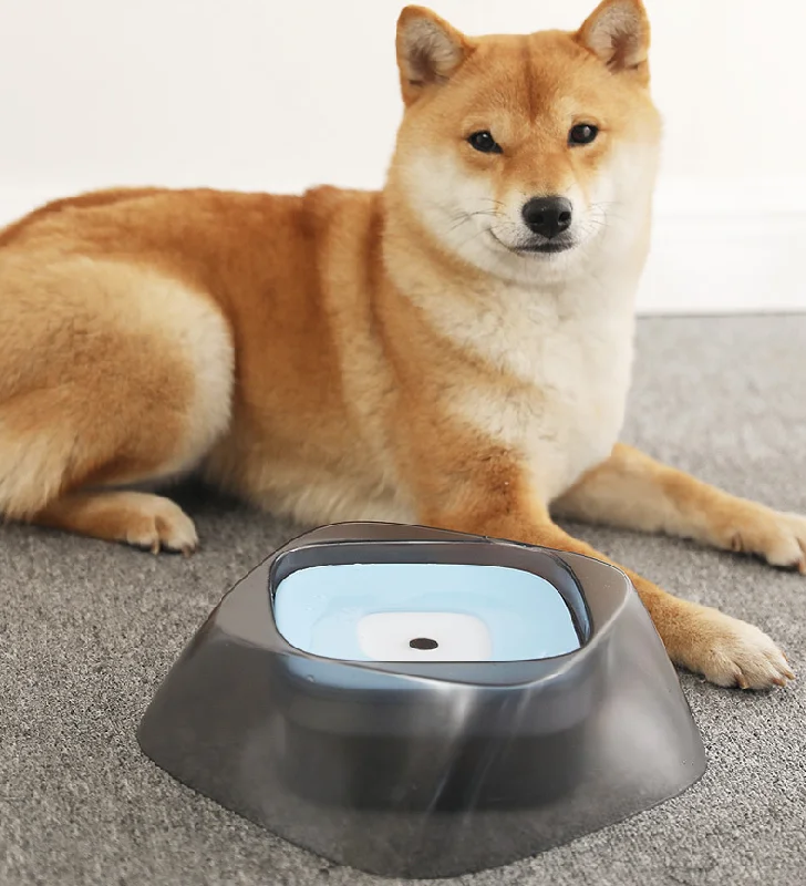 - Teething and chewing toys for puppiesPet Dog Bowl Floating Not Wetting Mouth Cat Bowl No Spill Drinking Water Feeder - Teething and chewing toys for puppiesPet Dog Bowl Floating Not Wetting Mouth Cat Bowl No Spill Drinking Water Feeder