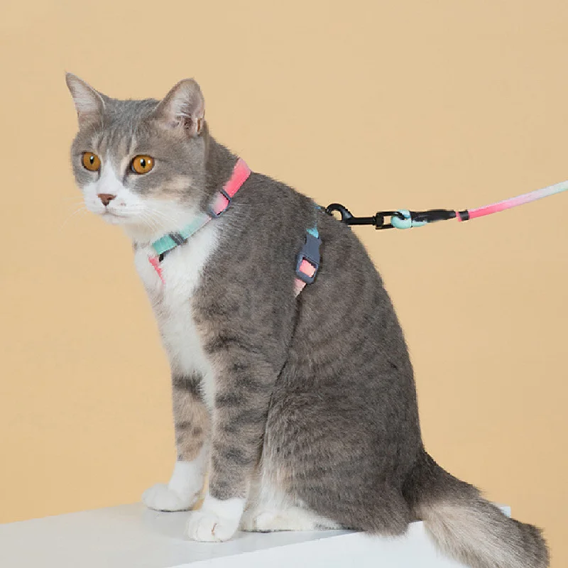 - Teething and chewing toys for puppiesFashion Cat Leash To Prevent Breaking Free