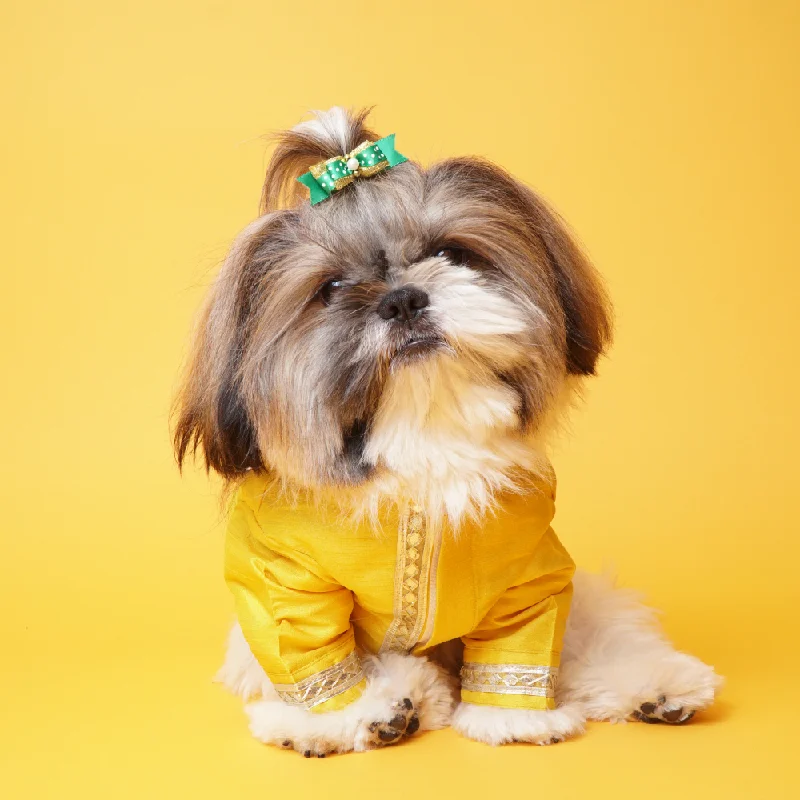 - Remote interactive pet feederThe Papaw Cartel Silk Gotapati Kurta For Dogs (Yellow) - Remote interactive pet feederThe Papaw Cartel Silk Gotapati Kurta For Dogs (Yellow)