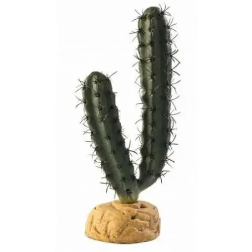- Pet diabetes prescription foodExo-Terra Desert Finger Cactus Terrarium Plant