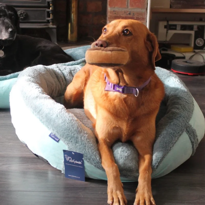 - Organic cotton dog bibsPersonalised Turquoise Oceans Fleece Donut Dog Bed