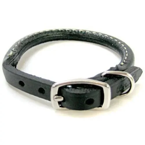 - Cat nail clippers with LED lightsCircle T Pet Leather Round Collar - Black