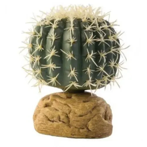 - Air box TSA certified check-inExo-Terra Desert Barrel Cactus Terrarium Plant