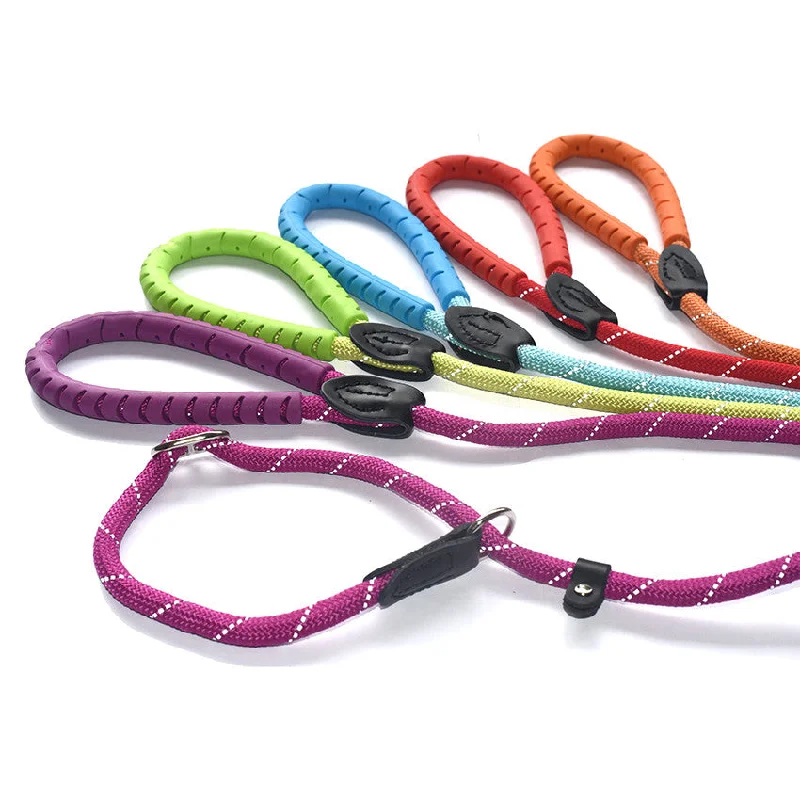 -Splash-proof food bowl AND Anti-choking slow food bowlDog Slip Lead w Fig 8 Training Aid - Bright Colours & Reflective Thread with "RUBBER HANDLE GRIP" -Splash-proof food bowl AND Anti-choking slow food bowlDog Slip Lead w Fig 8 Training Aid - Bright Colours & Reflective Thread with "RUBBER HANDLE GRIP"
