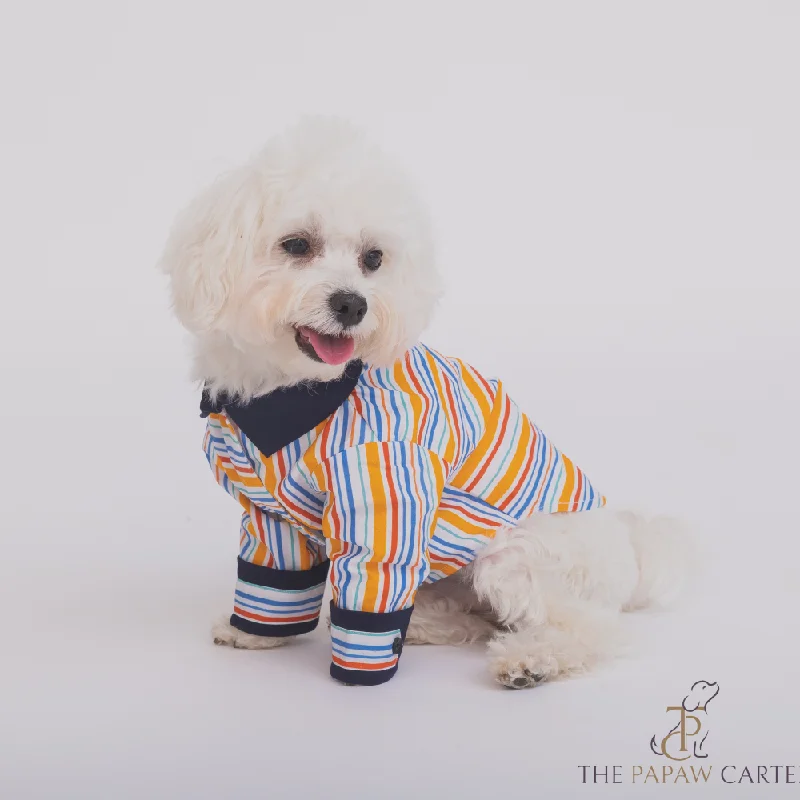 - Pet water dispenser UV sterilization versionThe Papaw Cartel Stripe Shirt for Dogs (Multicolor) - Pet water dispenser UV sterilization versionThe Papaw Cartel Stripe Shirt for Dogs (Multicolor)