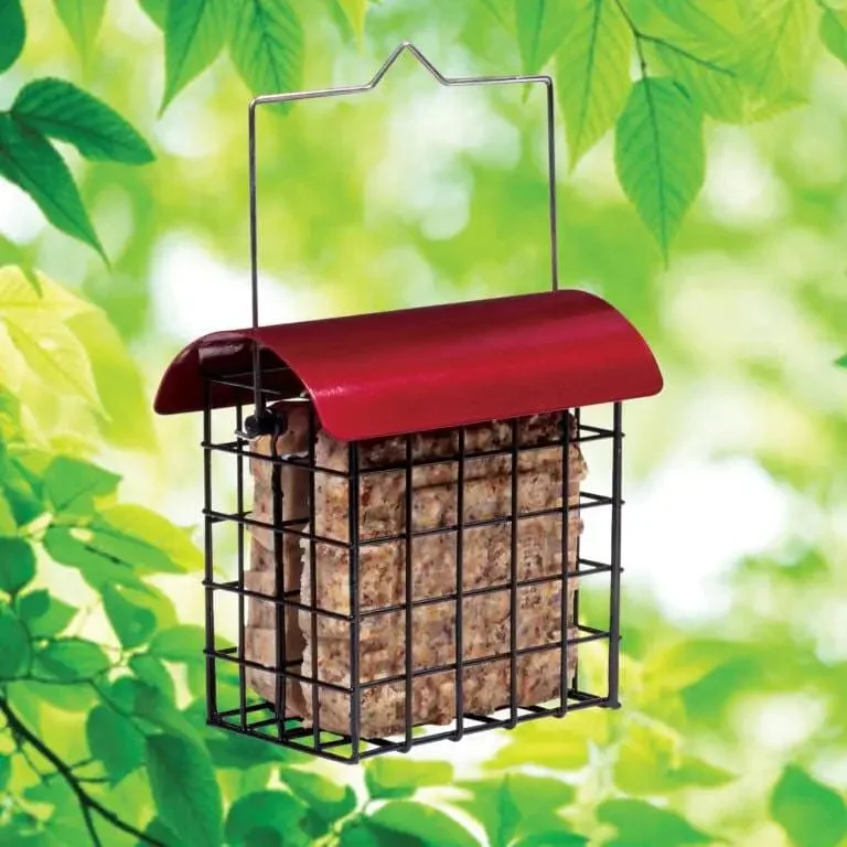 - Teething and chewing toys for puppiesCrimson Double Bird Suet Feeder