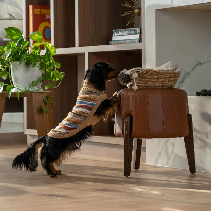 - Dog disposable foam shower gelHello Autumn Alpaca Dog Sweater
