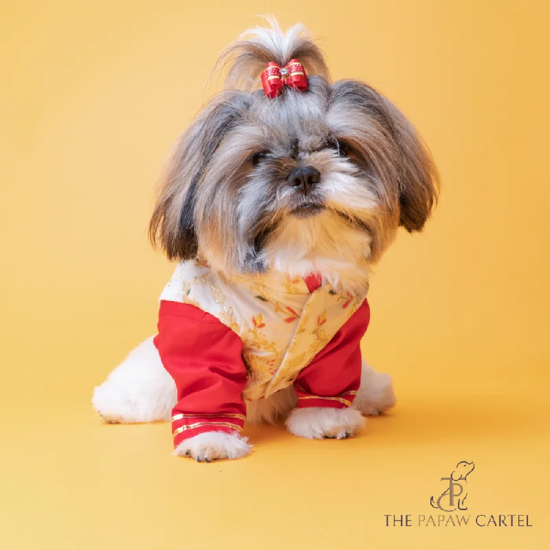 - Summer pet ice matThe Papaw Cartel Brocade Zari Koti With Gotapati Kurta For Dogs (White and Red)