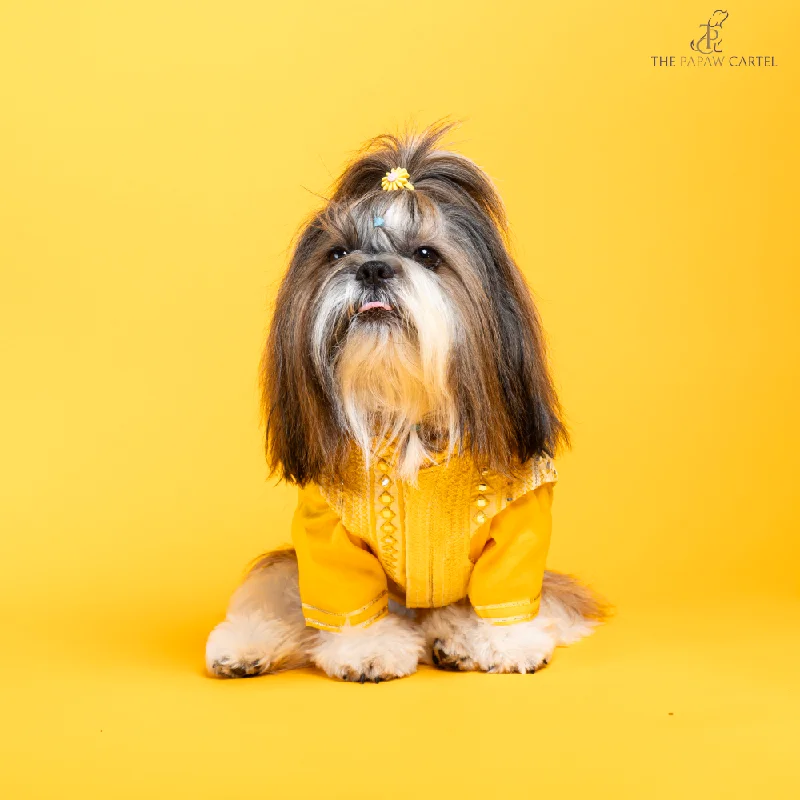 - Pet water dispenser UV sterilization versionThe Papaw Cartel Sunrise Koti Kurta Set with Mirror Embroidery for Dogs (Yellow) - Pet water dispenser UV sterilization versionThe Papaw Cartel Sunrise Koti Kurta Set with Mirror Embroidery for Dogs (Yellow)