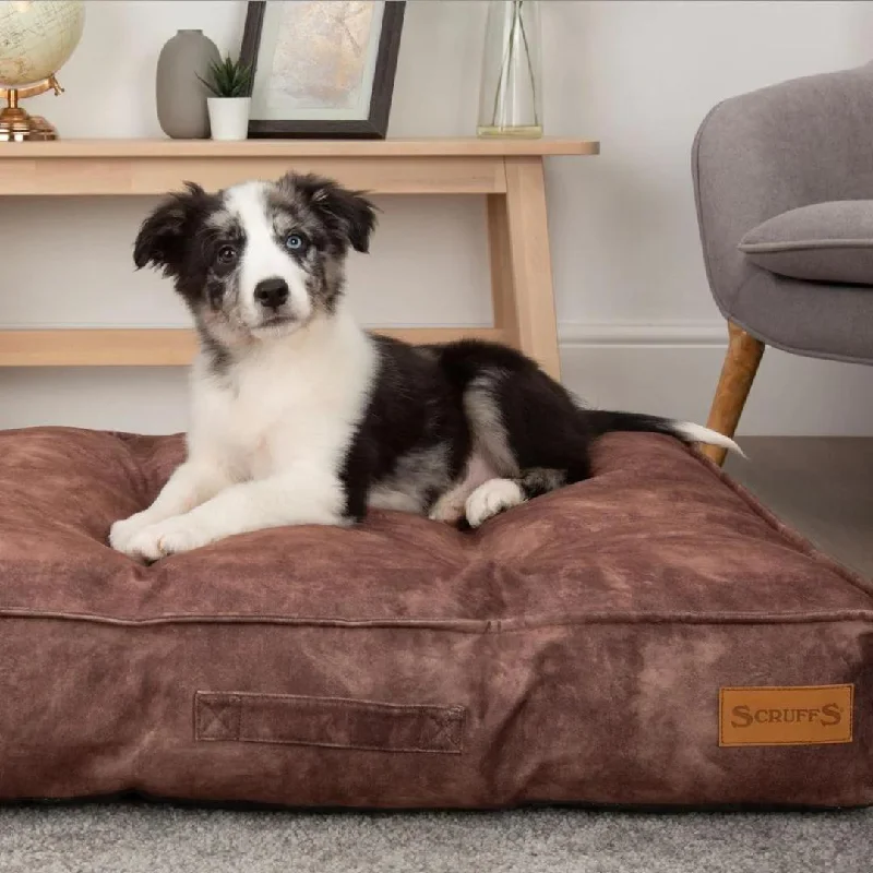 - Winter warm clothes for short-haired dogsKensington Mattress Dog Bed - Chocolate
