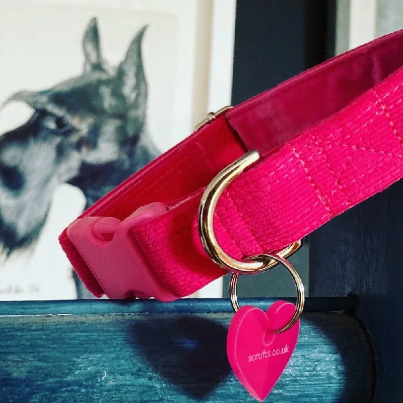 - Custom pet birthday cakeFlamingo Pink Corduroy Dog Collar